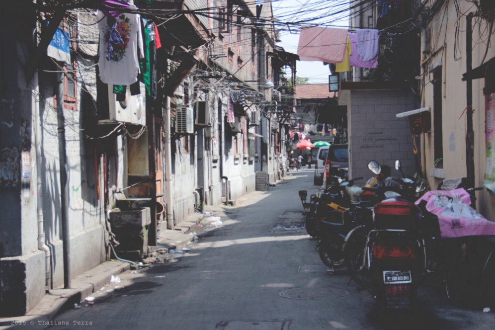 China: The hidden beauty of Shanghai streets (Post 1) 4